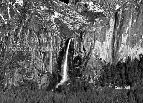 Bridalveil Fall Yosemite Valley (Black and White)